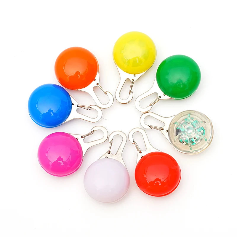Collier lumineux LED pour chien et chat