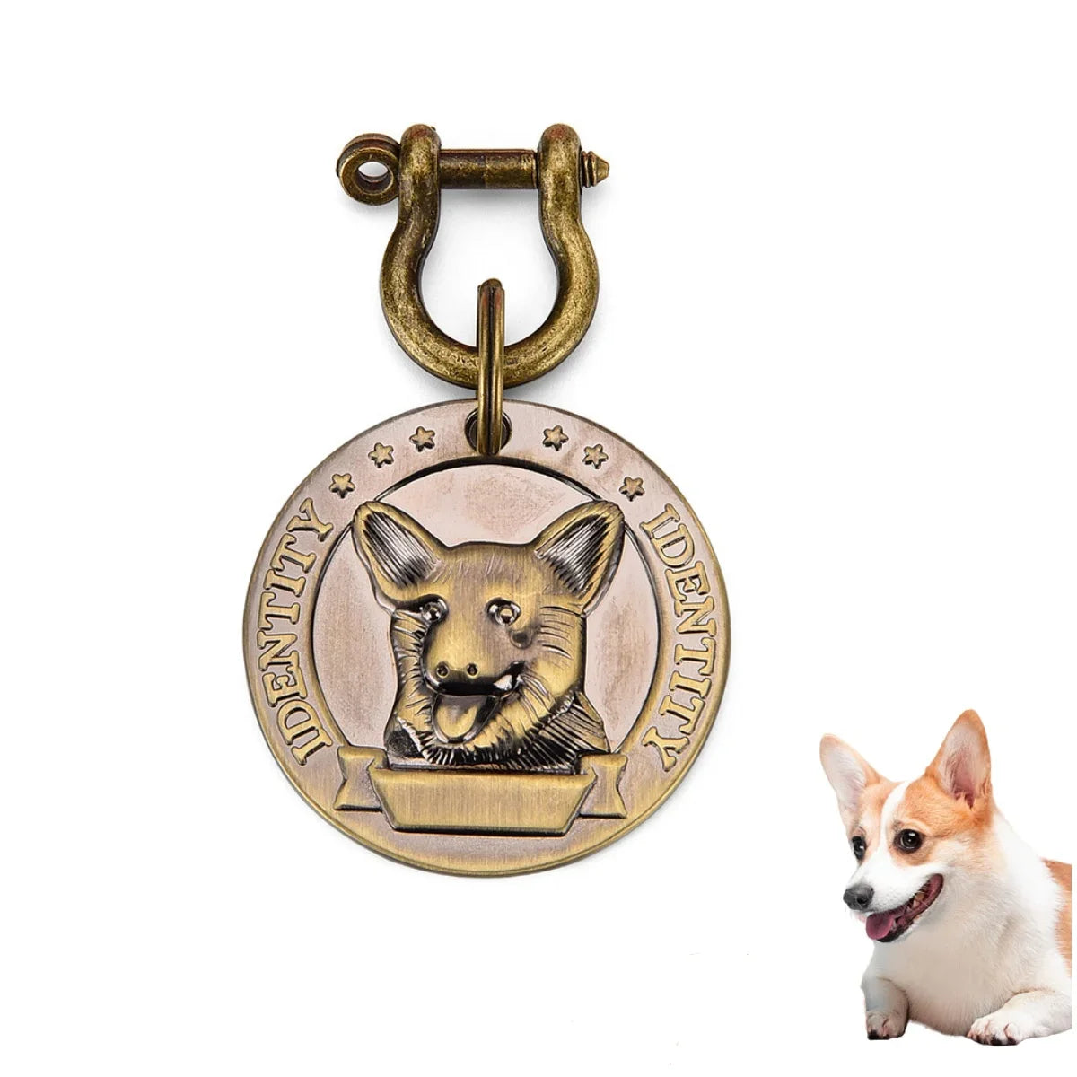 Collier VIP personnalisé avec numéro de téléphone et adresse