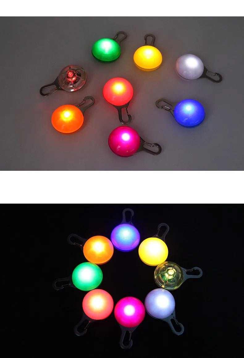 Collier lumineux LED pour chien et chat