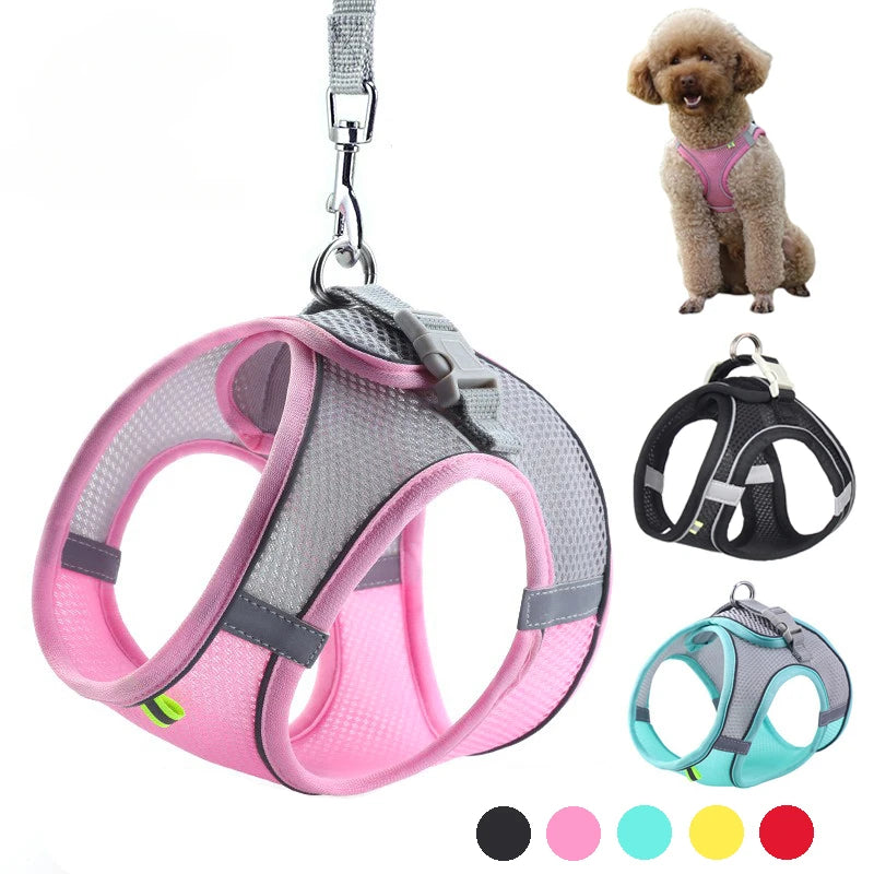 Ensemble harnais pour chiot
