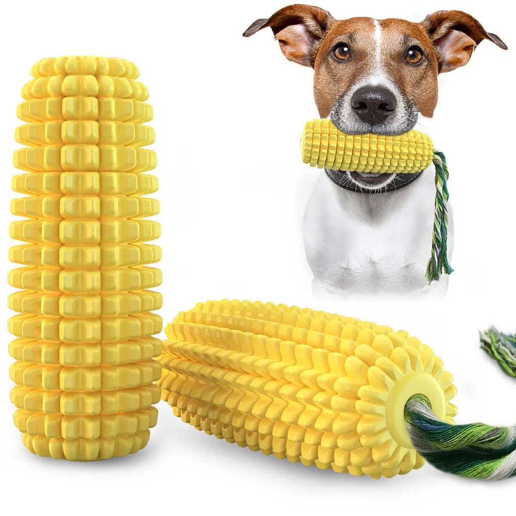 Jouet pour chien