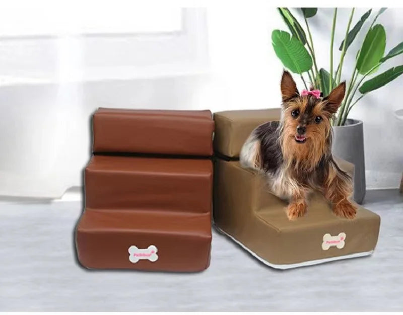 Escalier pour chien