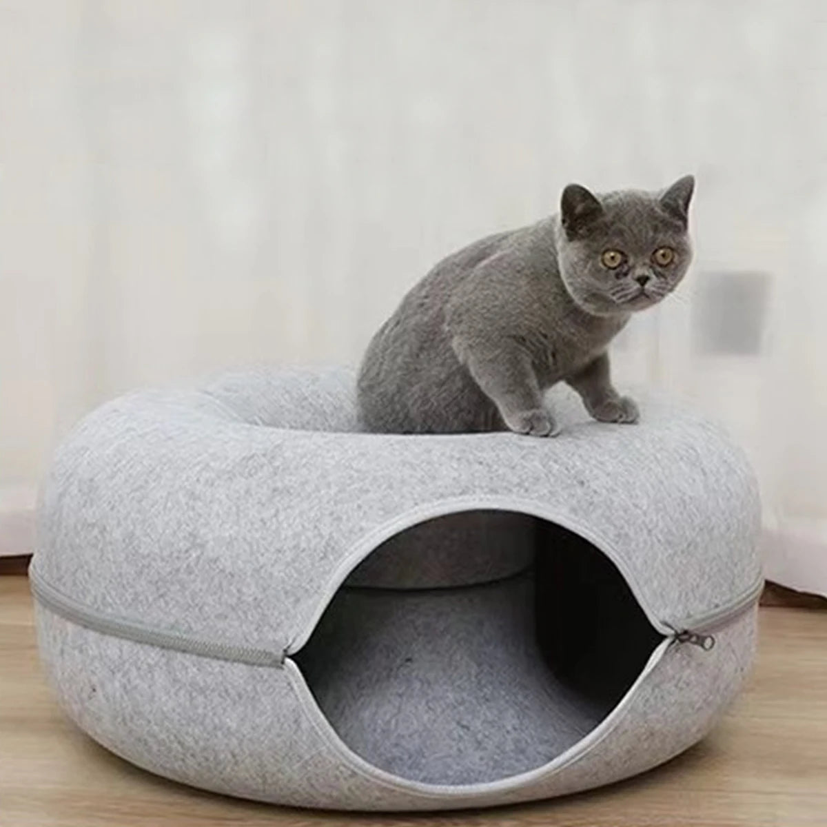 Tunnel interactif rond pour petits chats