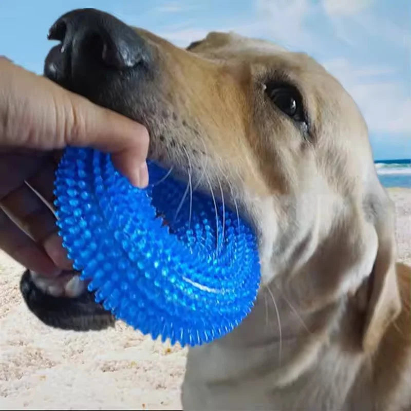 Jouet pour chien