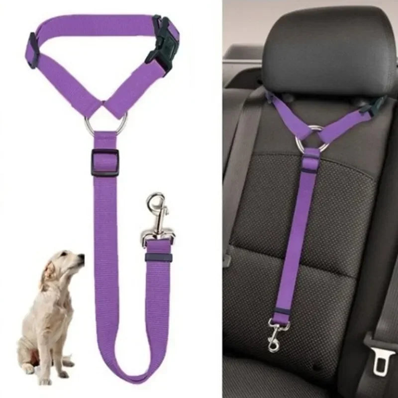 Ceinture de sécurité pour chien en voiture