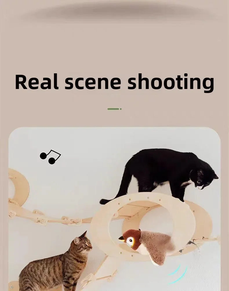 Jouet pour chat
