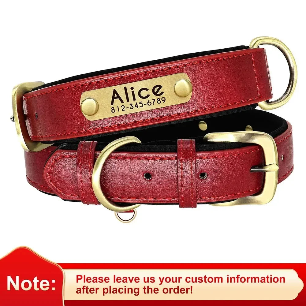 Collier pour chien