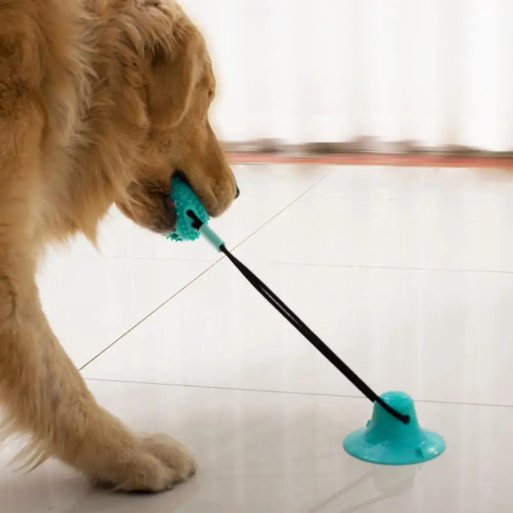 Jouet pour chien