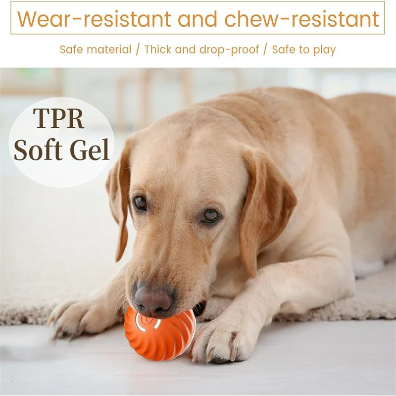 Balle jouet intelligente pour chien