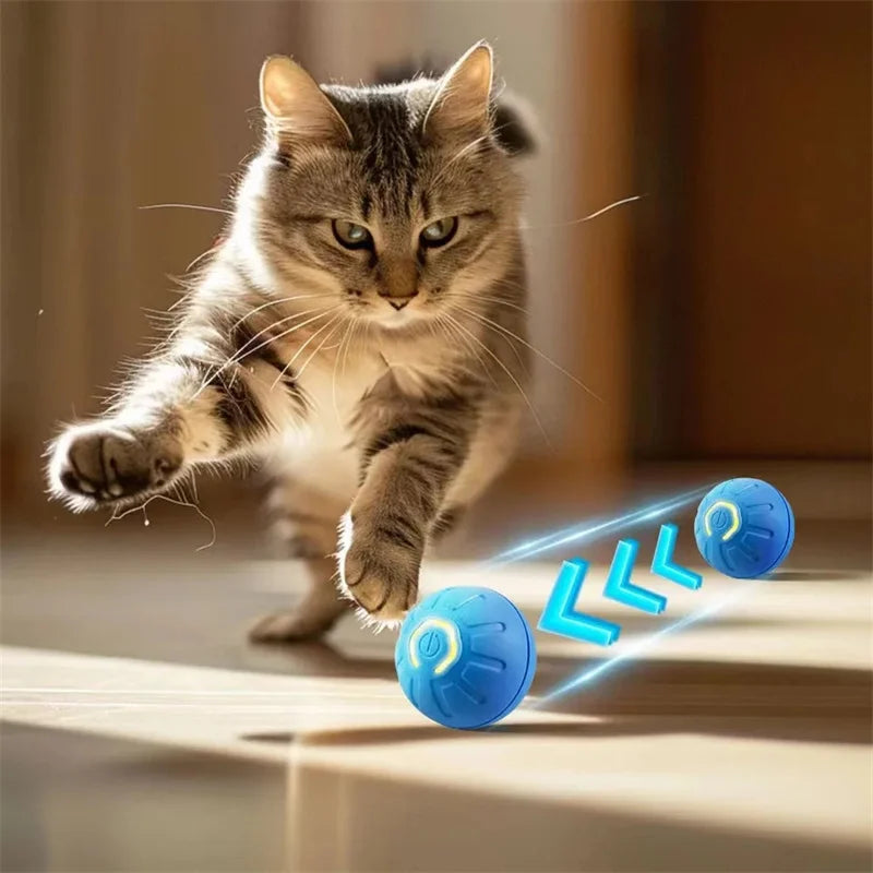 Balle jouet intelligente pour chien