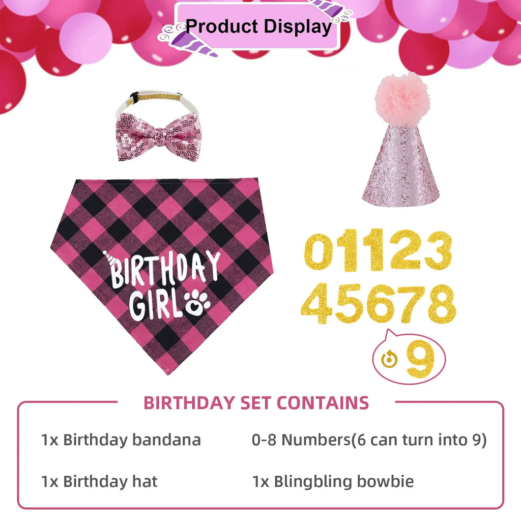 Ensemble de 4 articles pour fête d'anniversaire de chien : bandana « Birthday Boy », chapeau d'anniversaire avec chiffres pour chiens