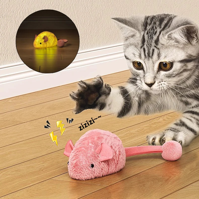 Souris en peluche interactive pour chat