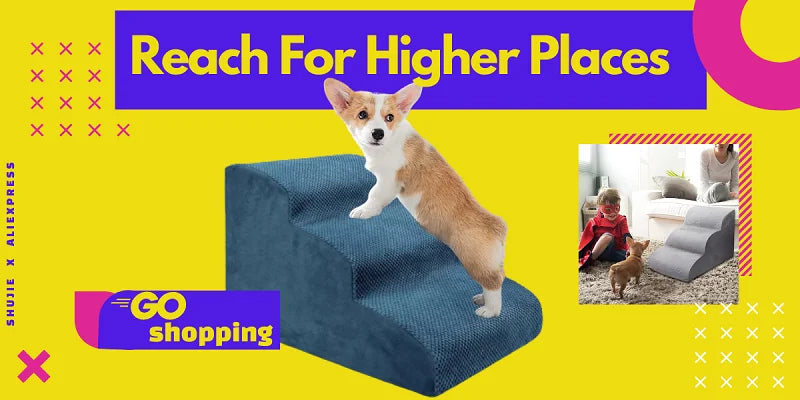 Escalier pour chien