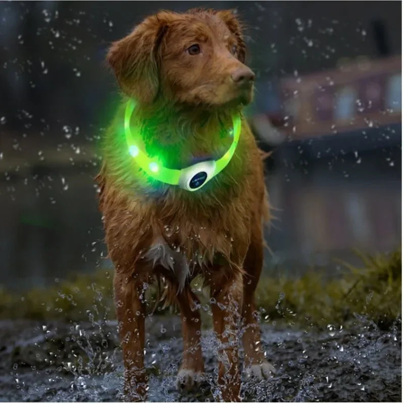 Collier lumineux LED étanche en PVC