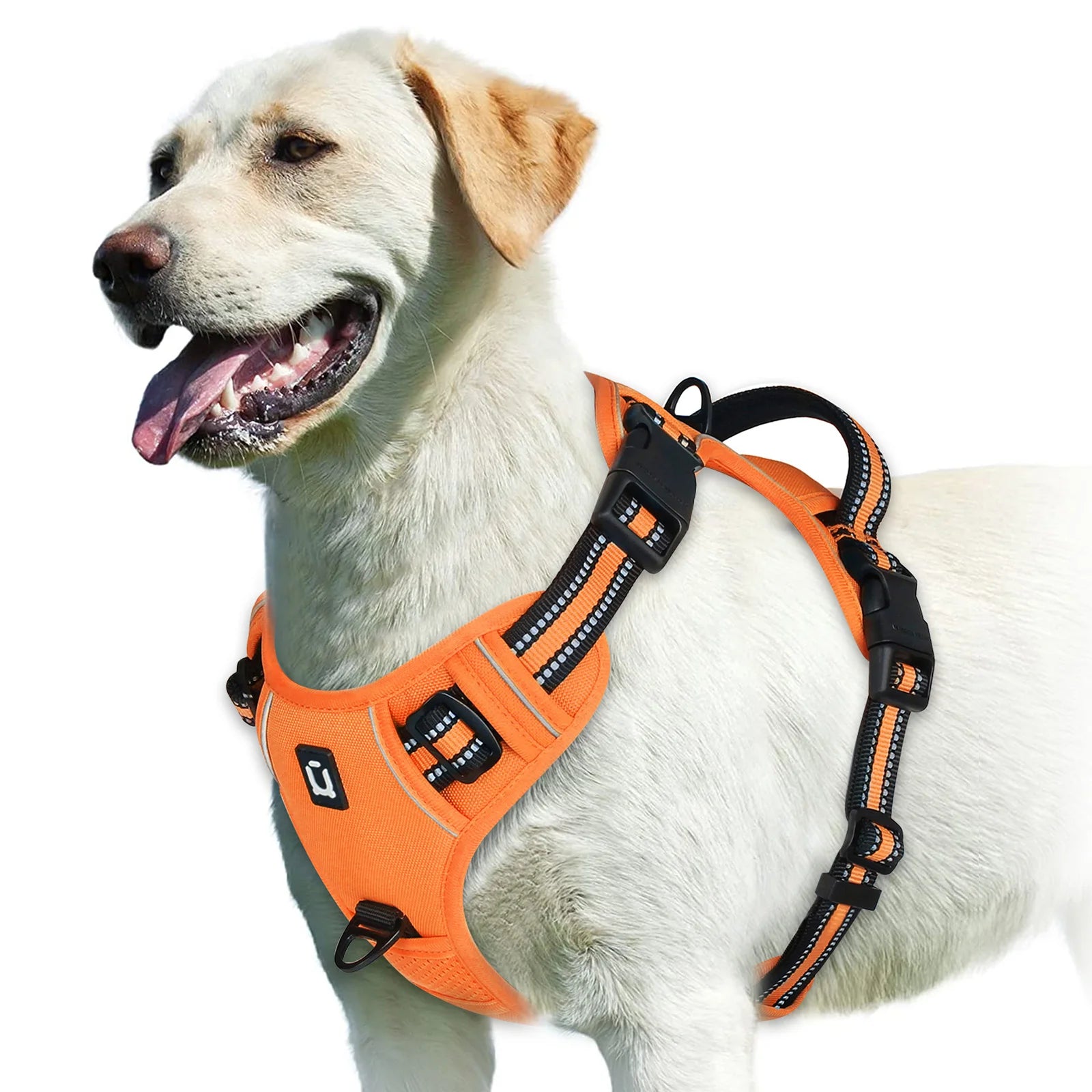 Harnais anti-traction pour chien, gilet rembourré doux et ajustable avec poignée de contrôle facile