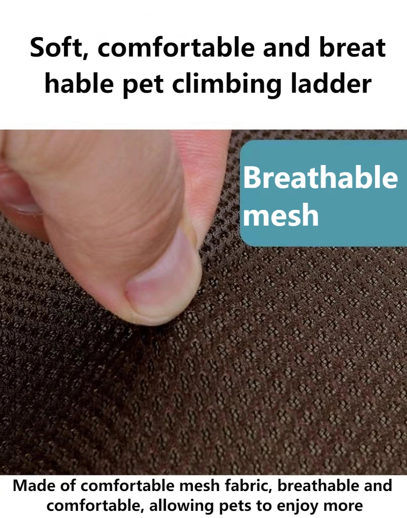 Escalier pour chien