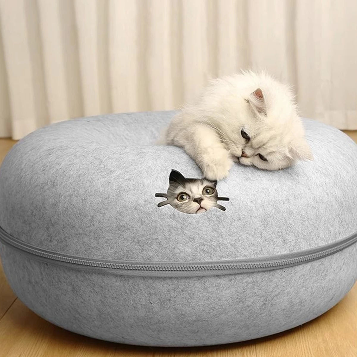 Tunnel interactif rond pour petits chats