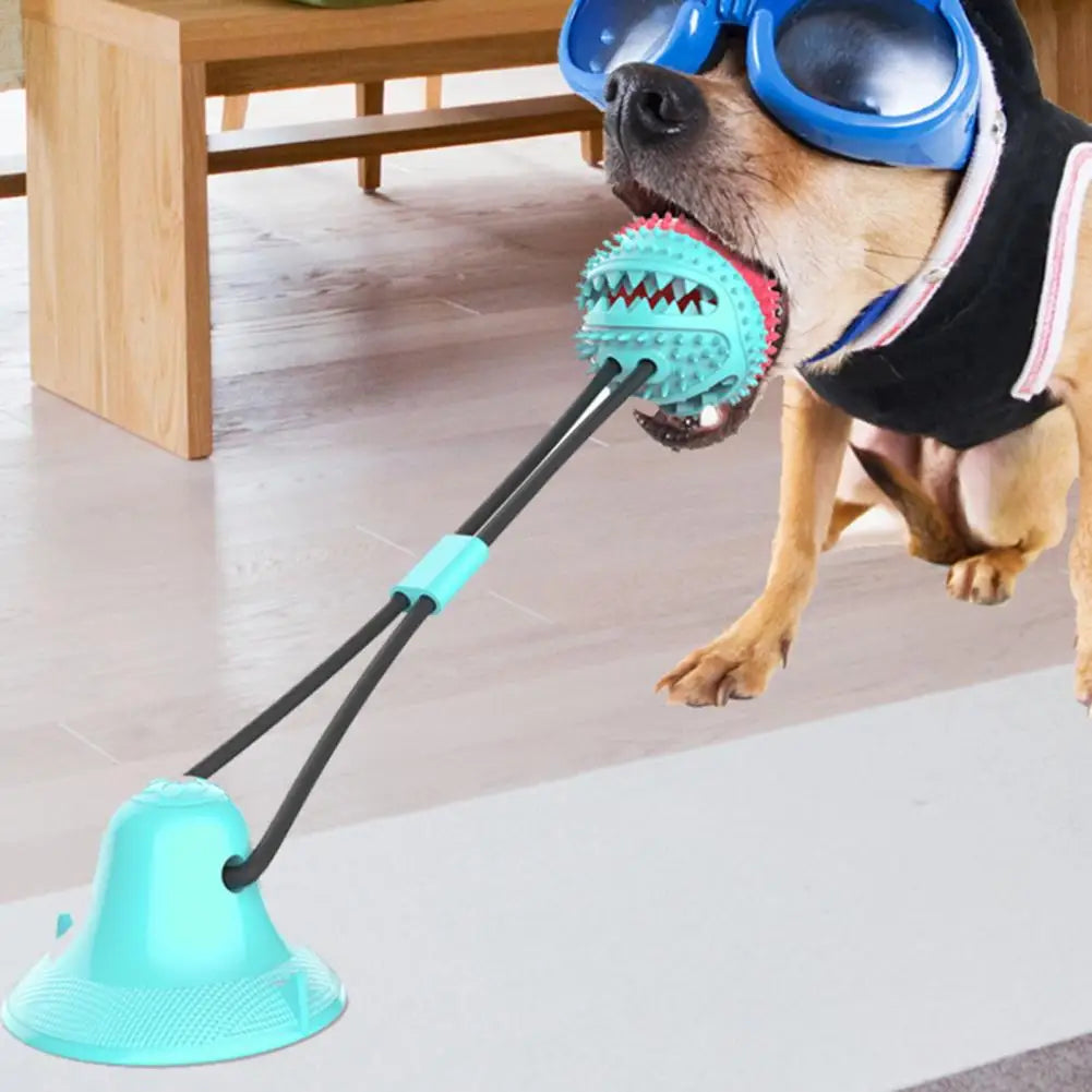 Jouet pour chien