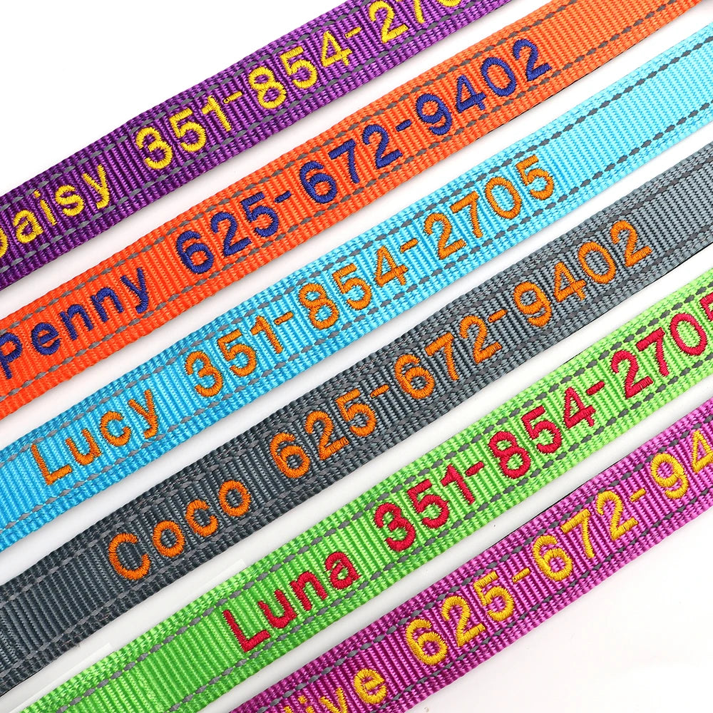 Collier pour chien