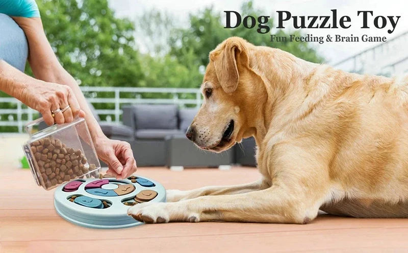 Gamelle interactive pour chiens et chats