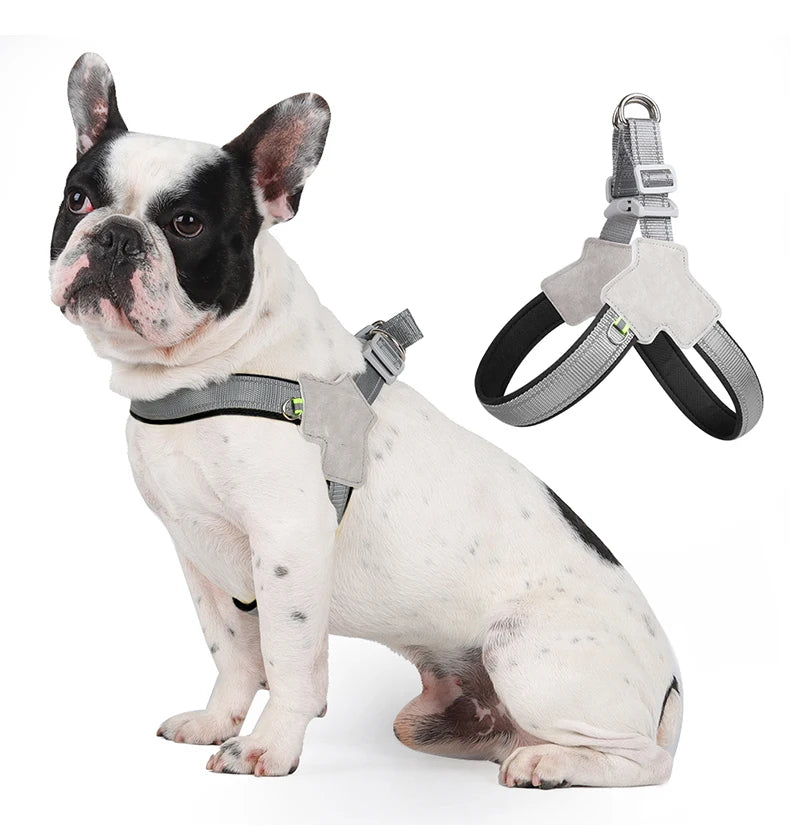 Harnais réfléchissant pour chiens et chats de petite et moyenne taille
