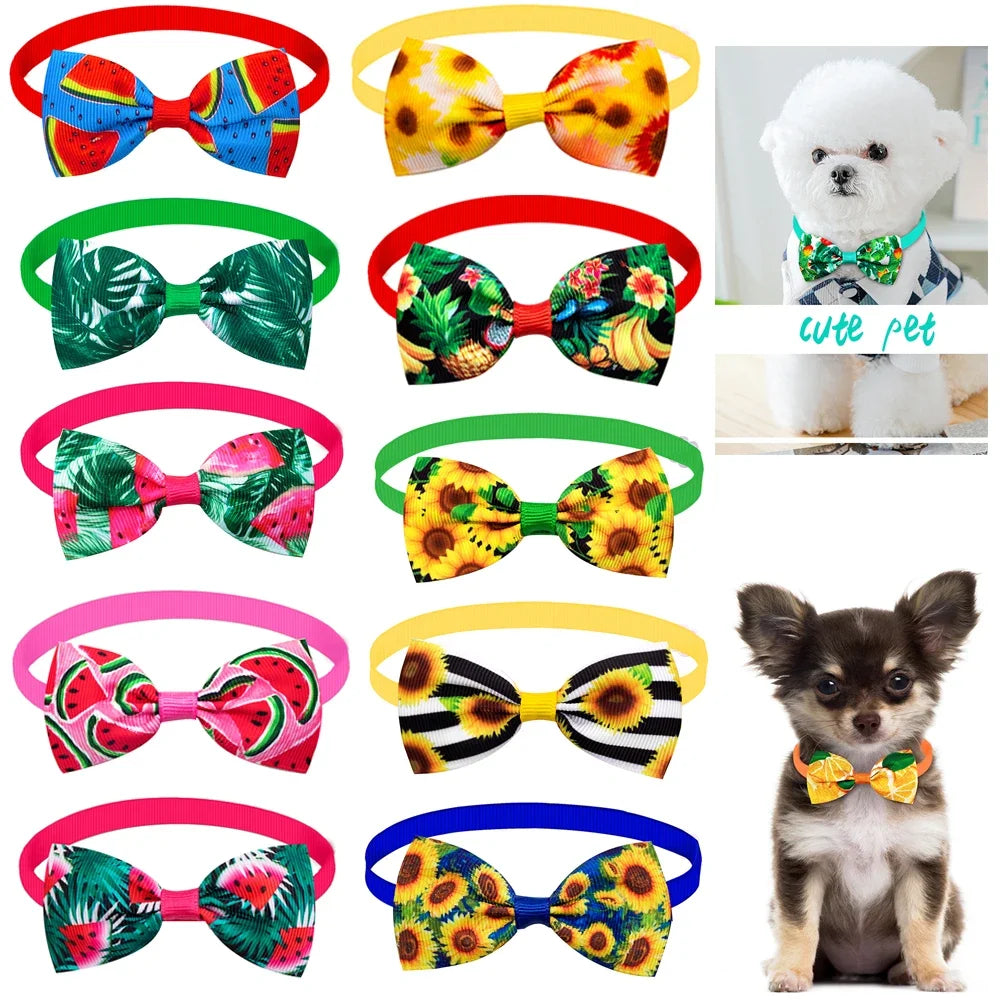 Collier pour chien