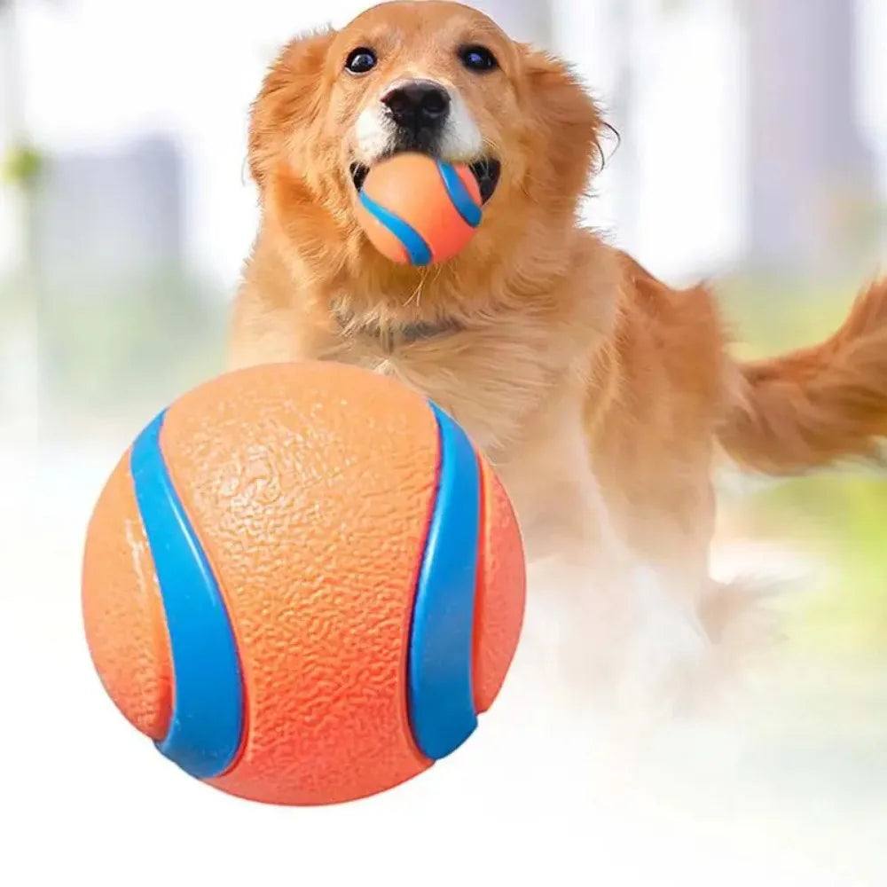 Balle résistante pour chien, jouet à rapporter