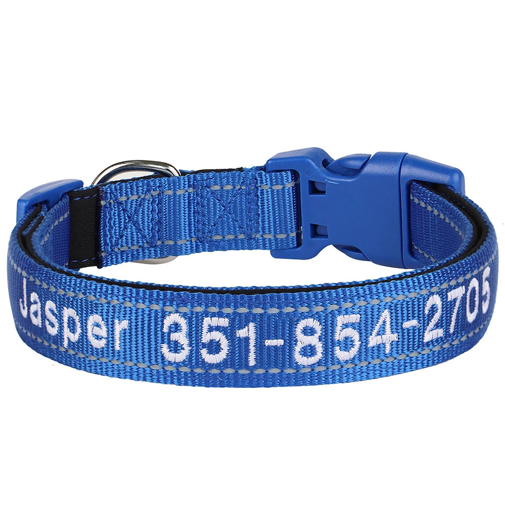 Collier pour chien