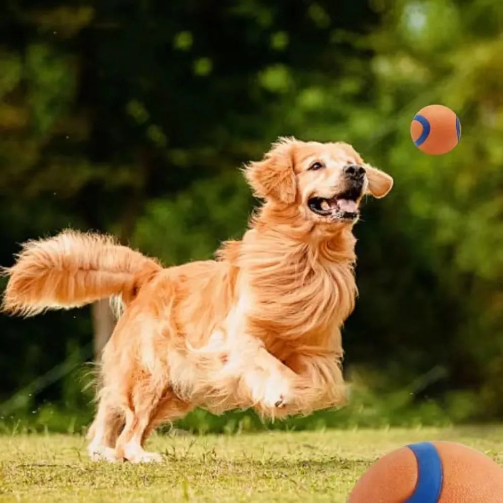 Balle résistante pour chien, jouet à rapporter