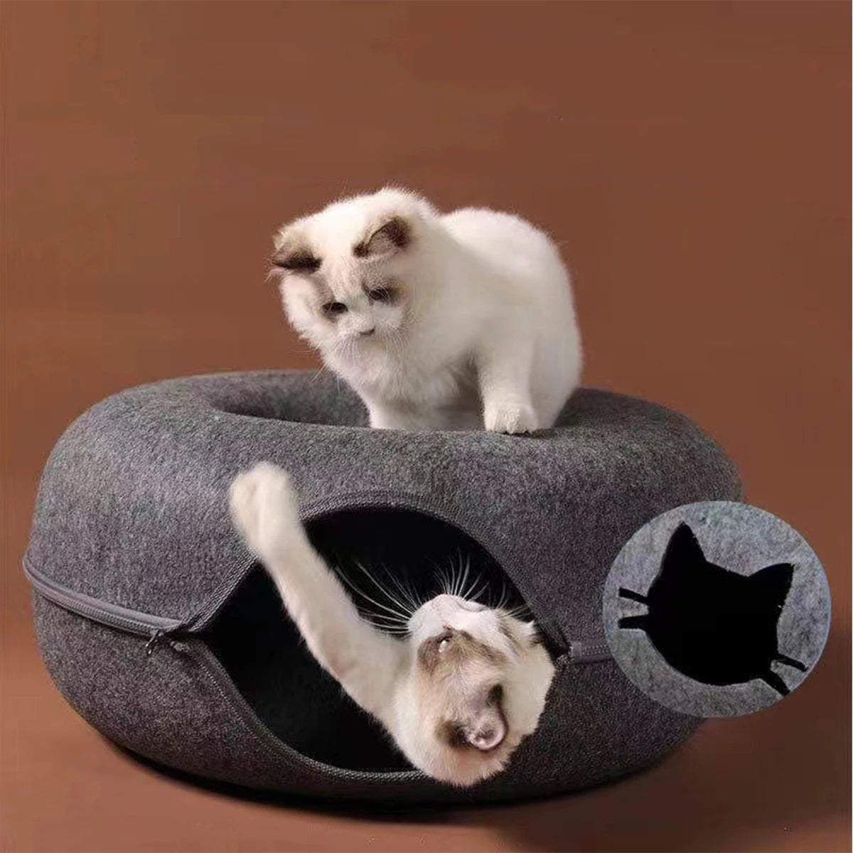 Tunnel interactif rond pour petits chats