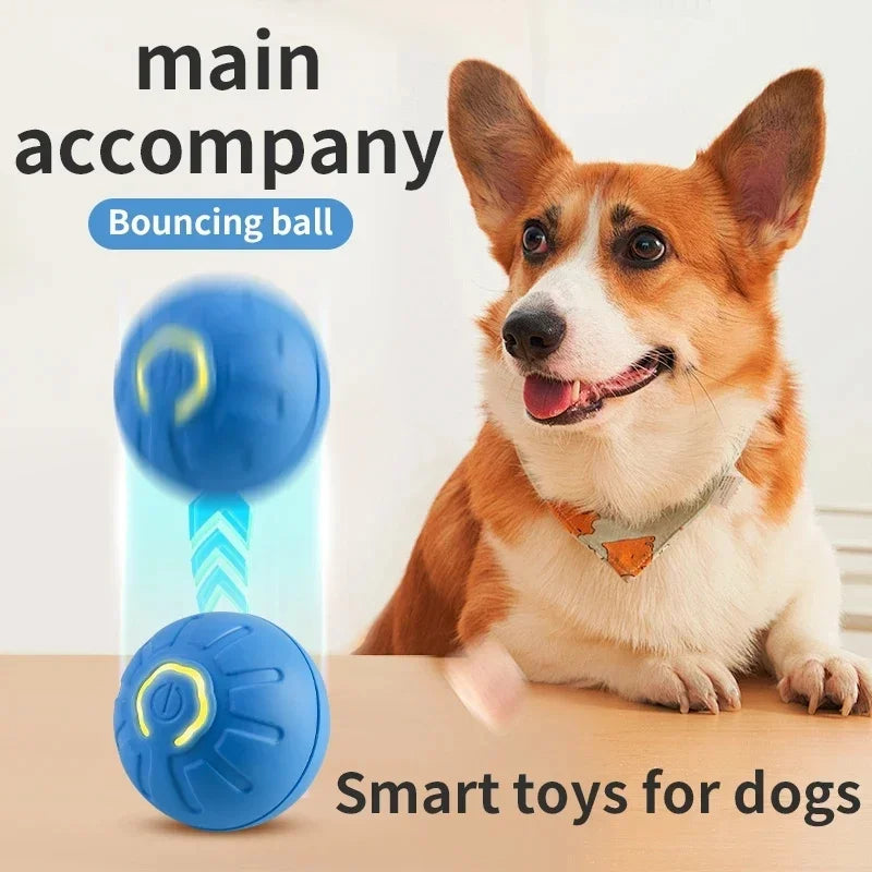 Balle jouet intelligente pour chien