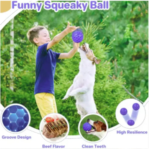 Balle interactive indestructible en caoutchouc à mâcher pour chiens de petite