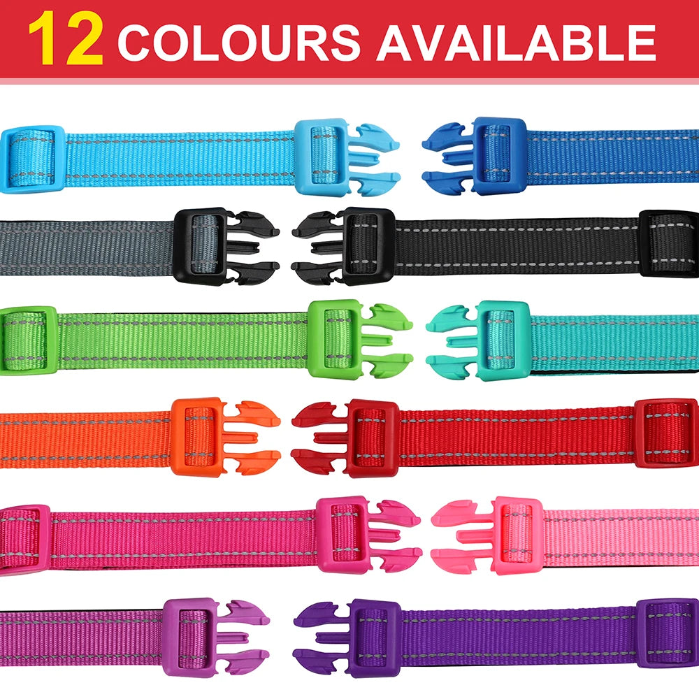 Collier pour chien