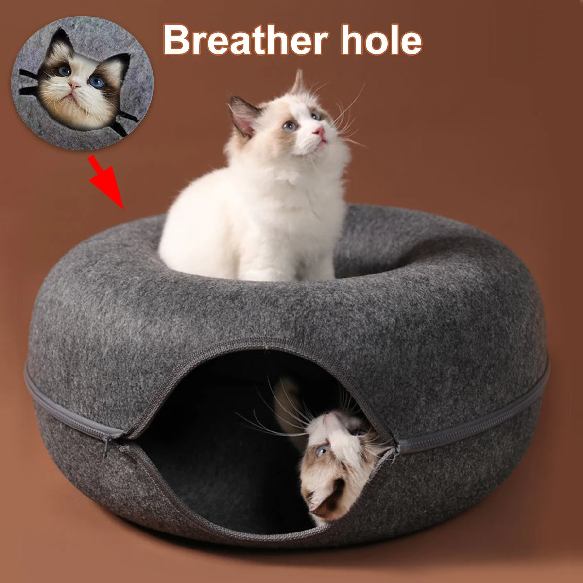 Tunnel interactif rond pour petits chats