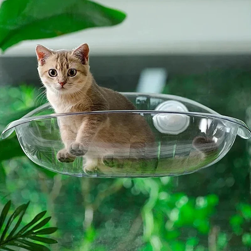 Lit de fenêtre pour chats
