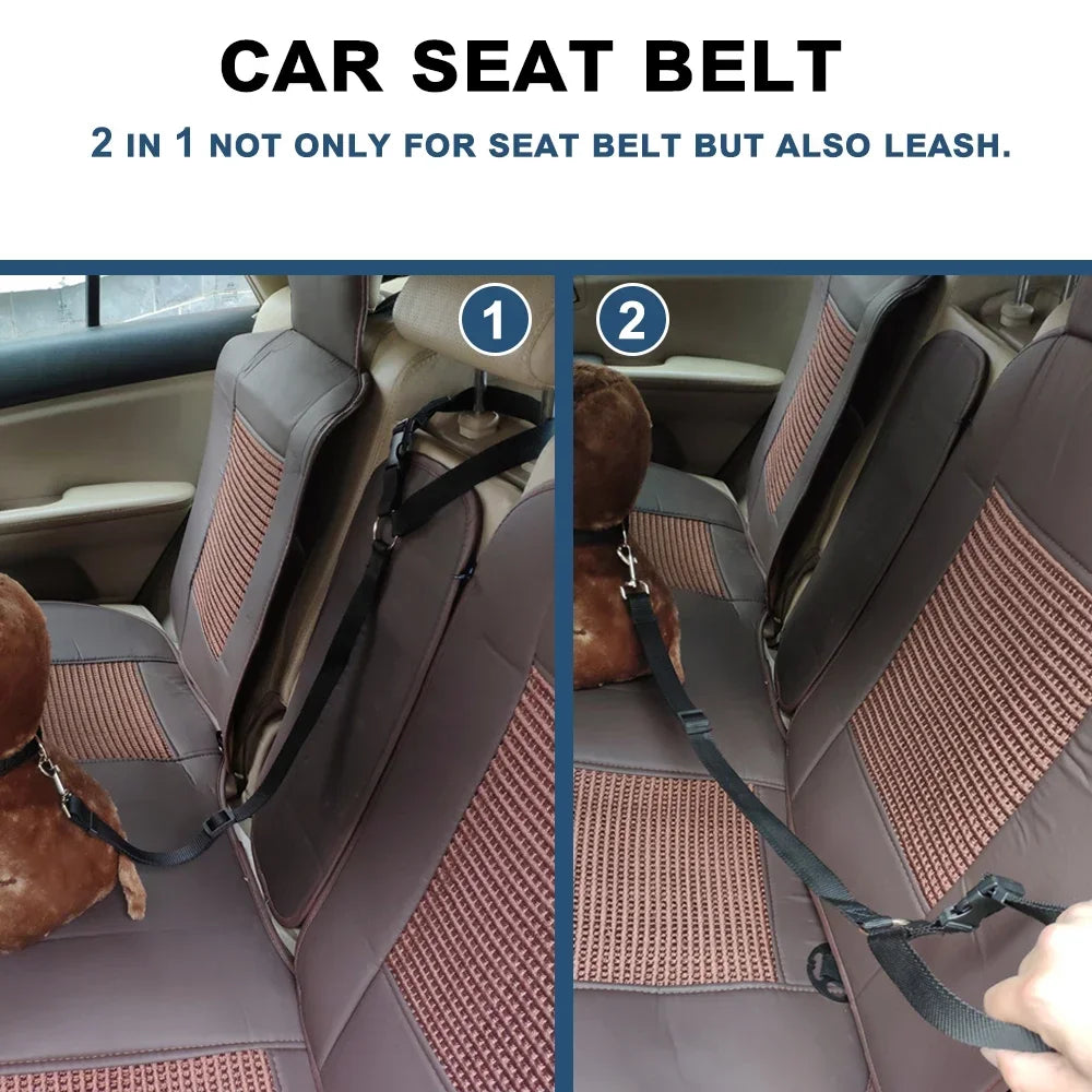 Ceinture de sécurité pour chien en voiture
