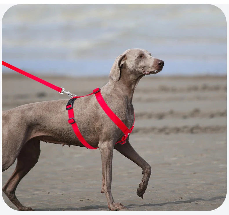 Harnais pour chien ajustable, souple et léger en forme de H, lavable