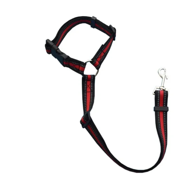 Ceinture de sécurité pour chien en voiture