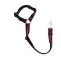 Ceinture de sécurité pour chien en voiture