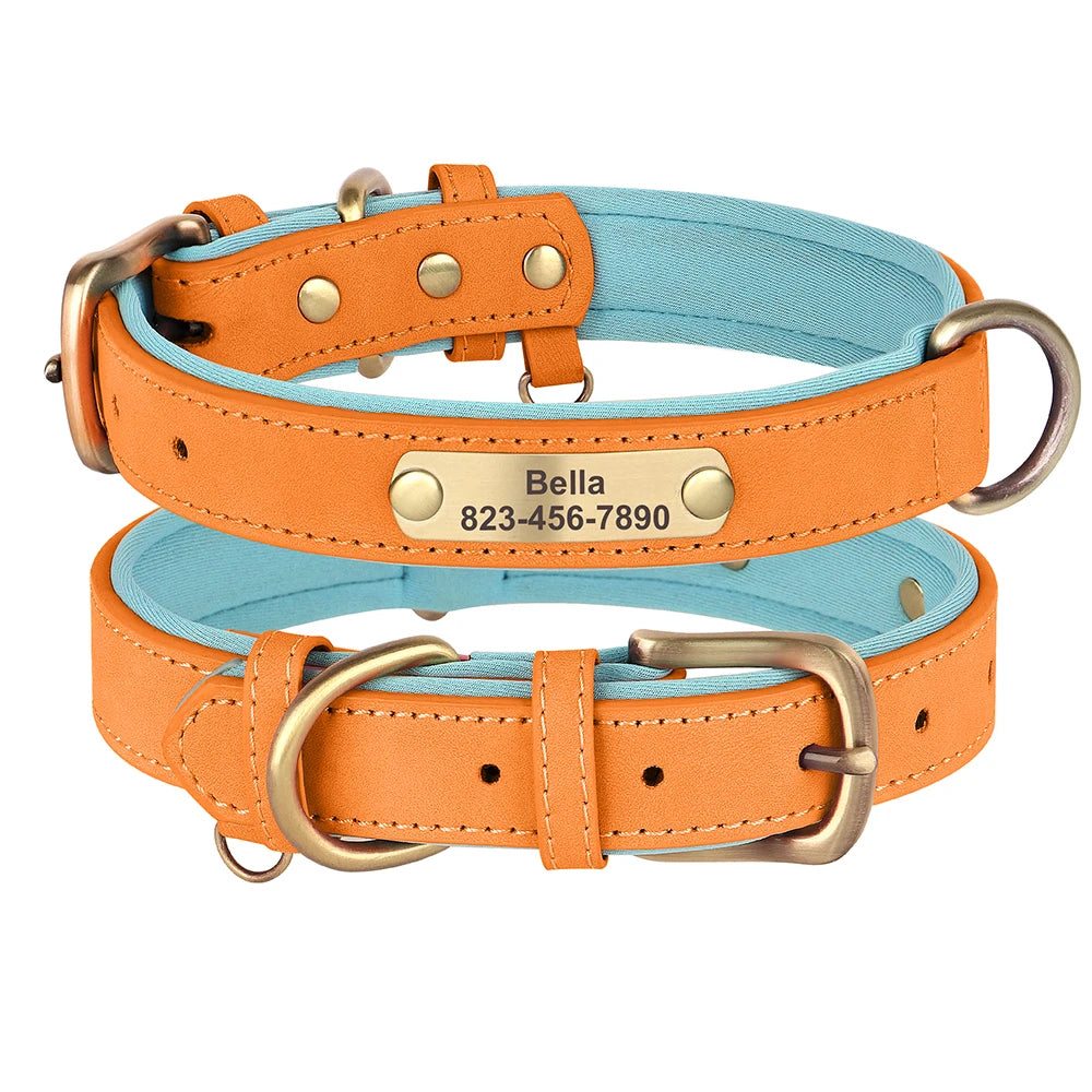 Collier
