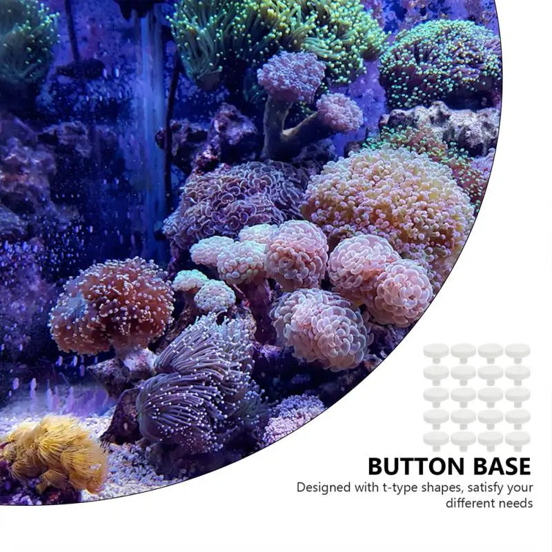 socles décoratifs pour aquarium