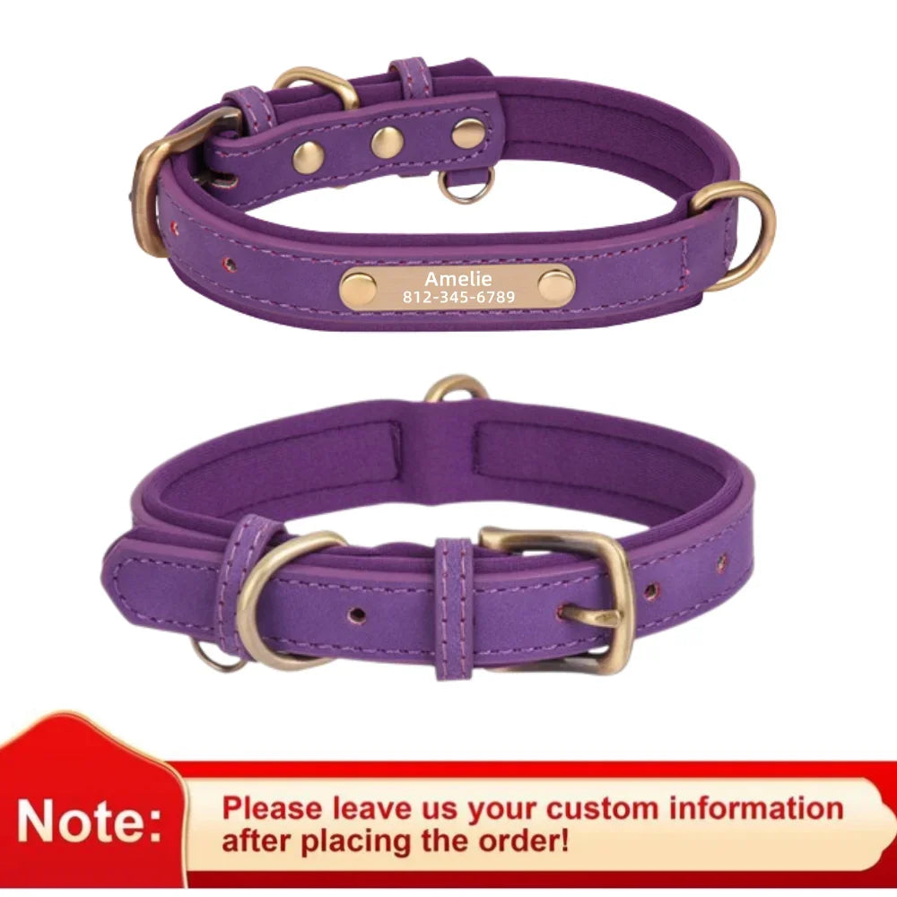 Collier pour chien