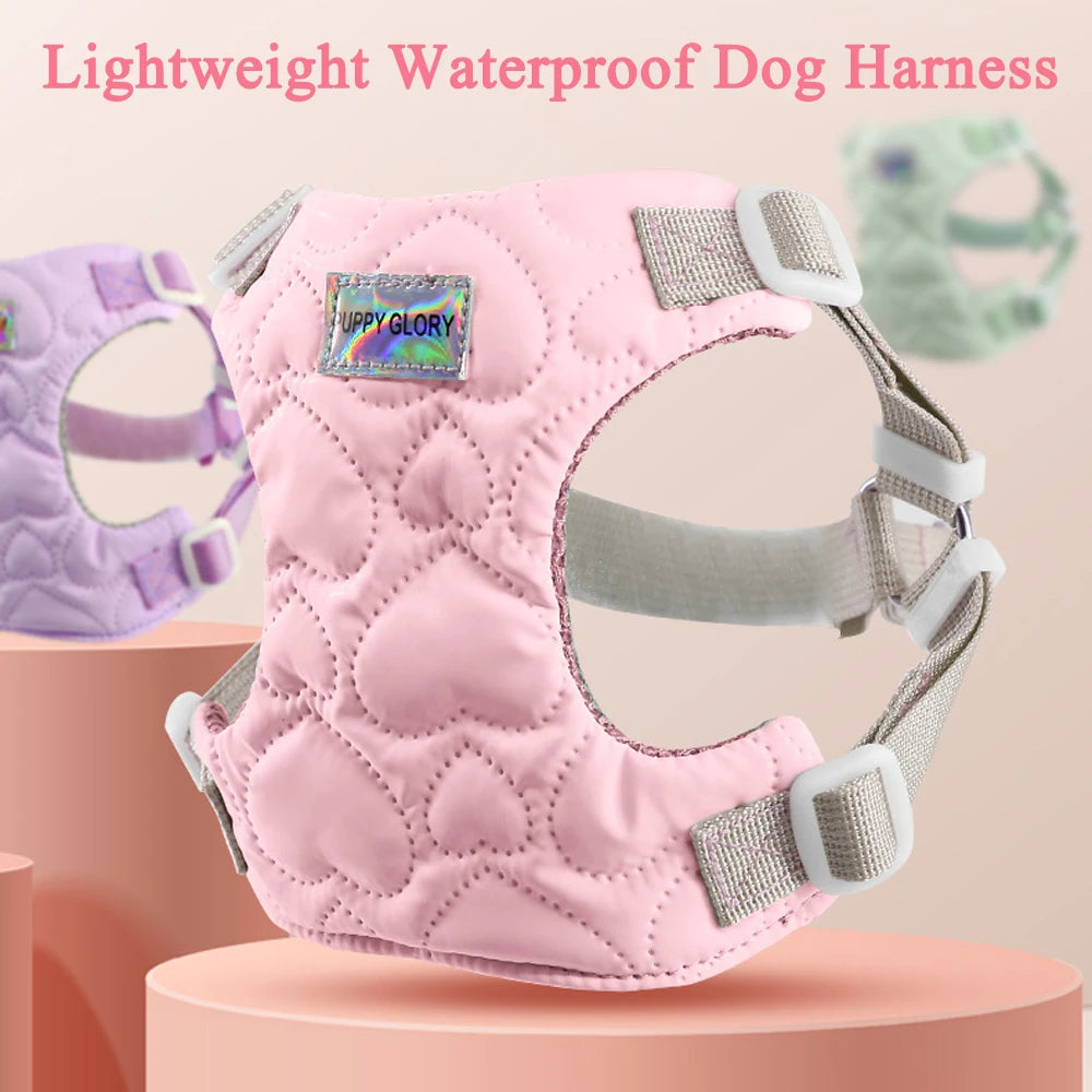 Harnais pour chien de petite et moyenne taille, motif cœur mignon, réglable, doublé en nylon