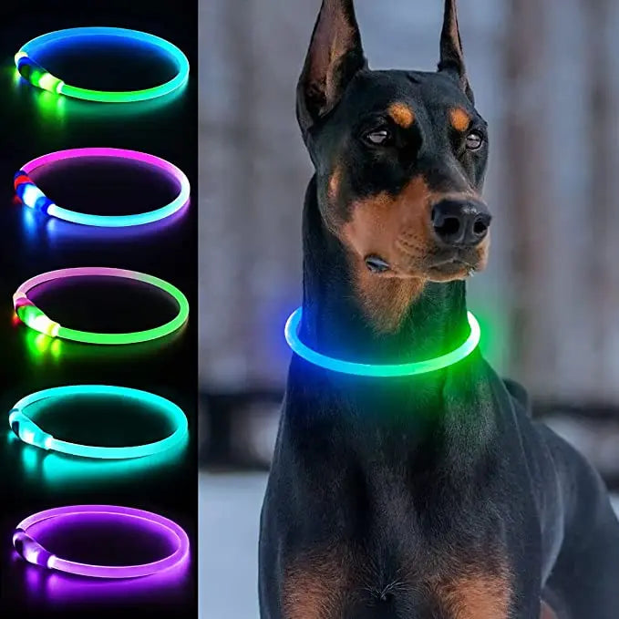 Collier lumineux LED étanche en PVC