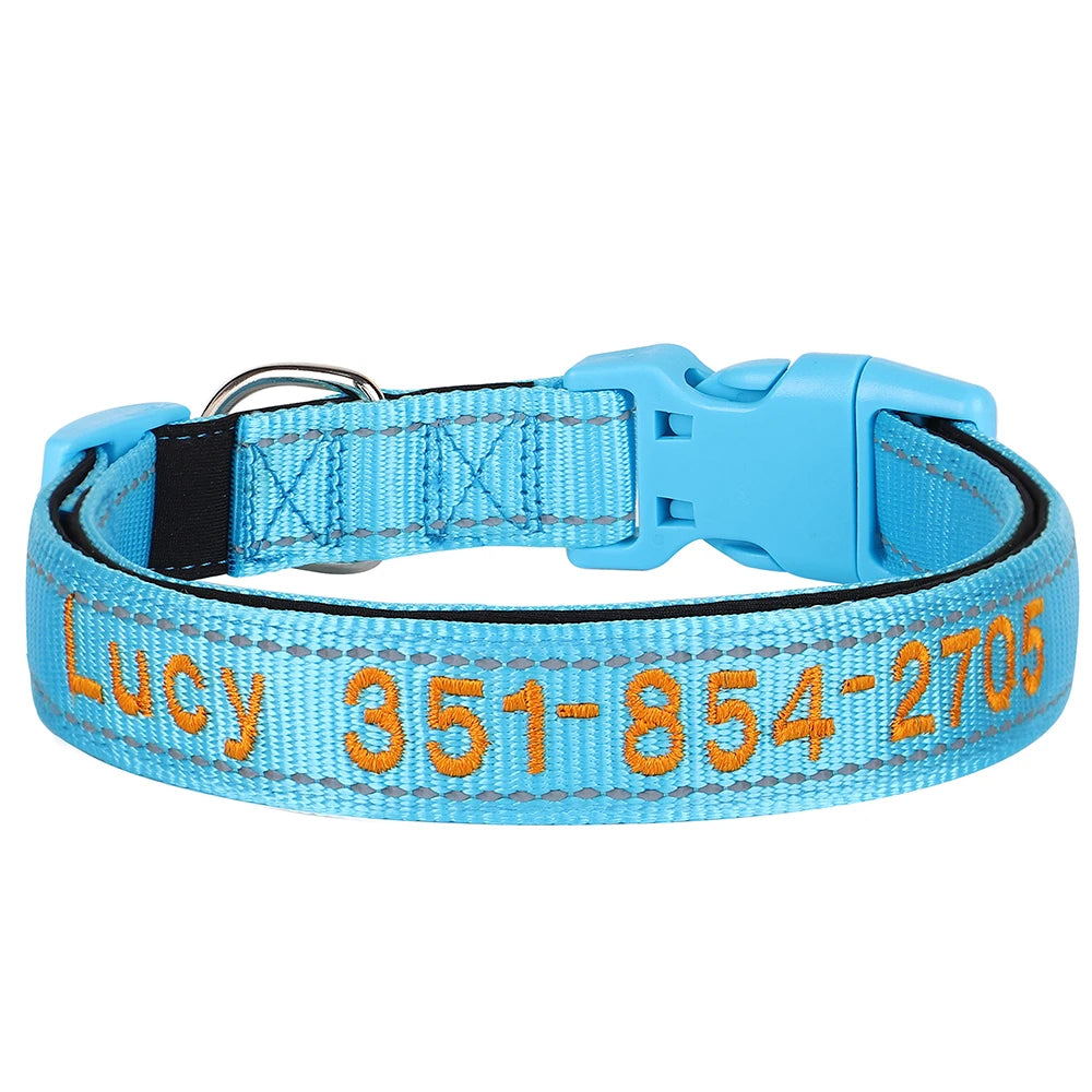 Collier pour chien