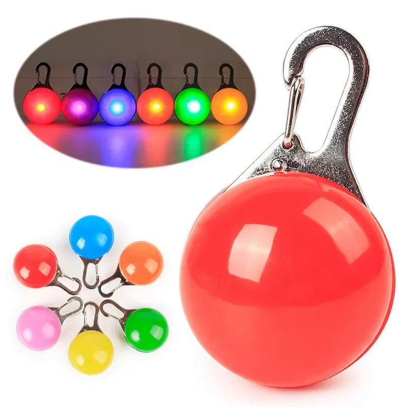 Collier lumineux LED pour chien et chat