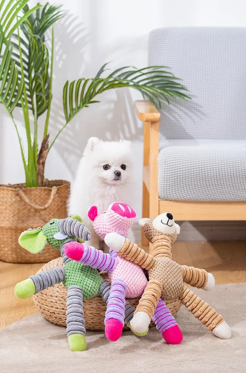 Jouet pour chien