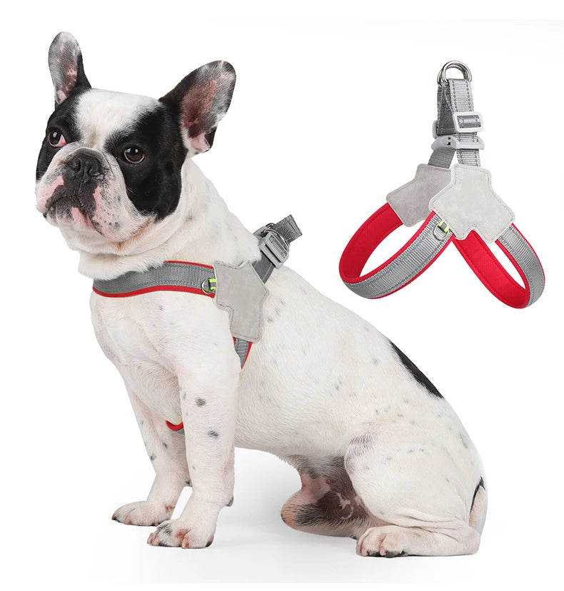 Harnais réfléchissant pour chiens et chats de petite et moyenne taille