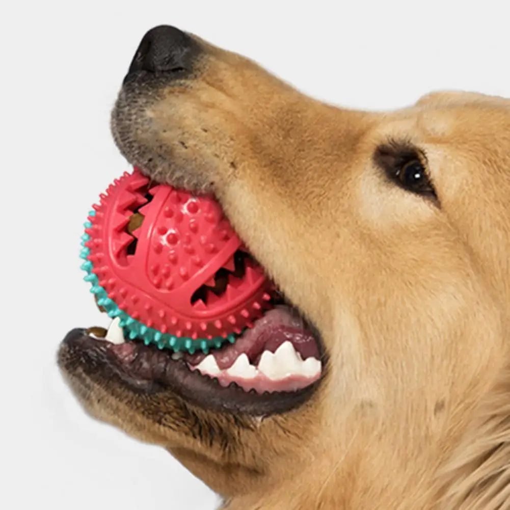 Jouet pour chien