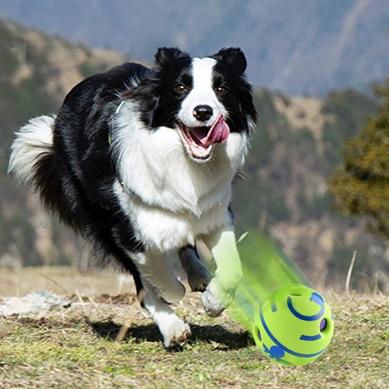 Jouet pour chien